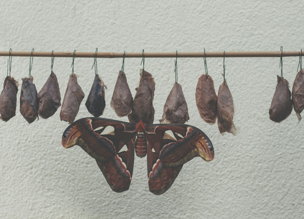 pravijo, da bolečina sporoča, da je nekaj narobe